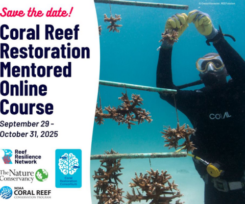 Coral reef restoration
