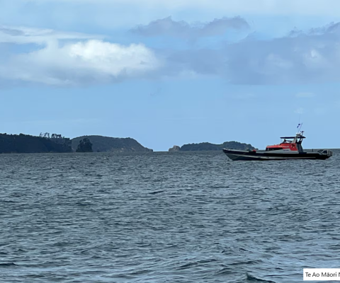 Hauraki Gulf