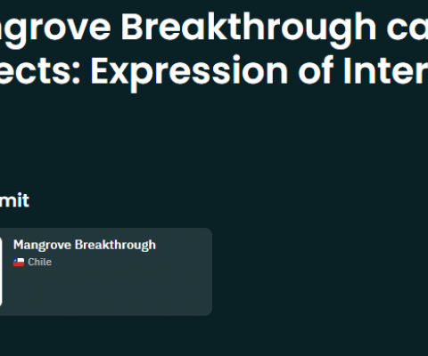 Mangrove Breakthrough