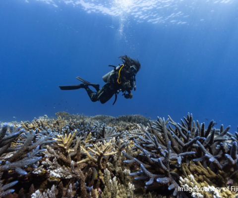 Fiji