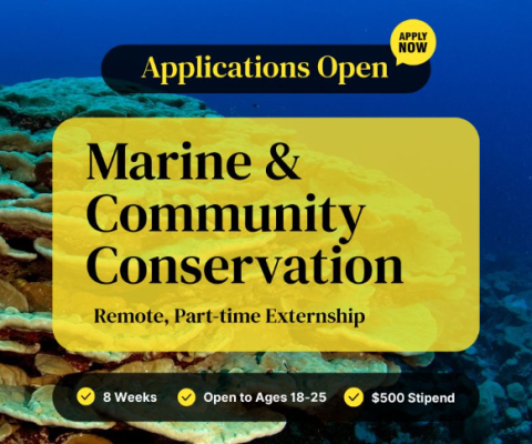 Conservation