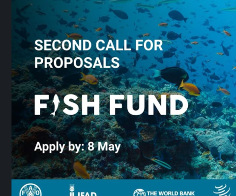 Fish Fund