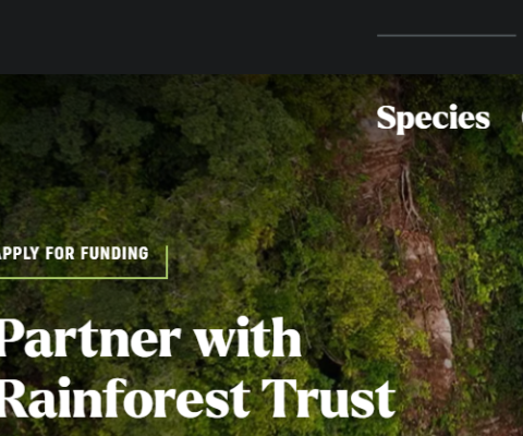 Rainforest Trust