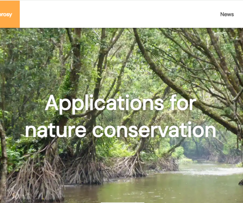 Mangroves