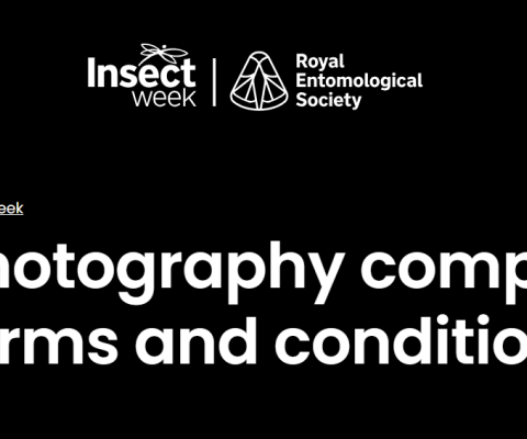 Entomology