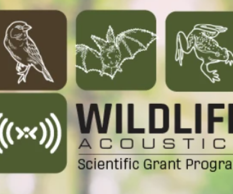 Accoustic grants