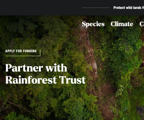 Rainforest Trust