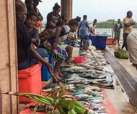 Fish for sale at the Gizo Fish Market. Two species are threatened with extinction locally. Photo: George J. Maelagi.