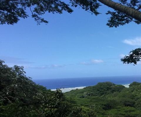 Takitumu Conservation Area, Cook Islands. Credit - NES