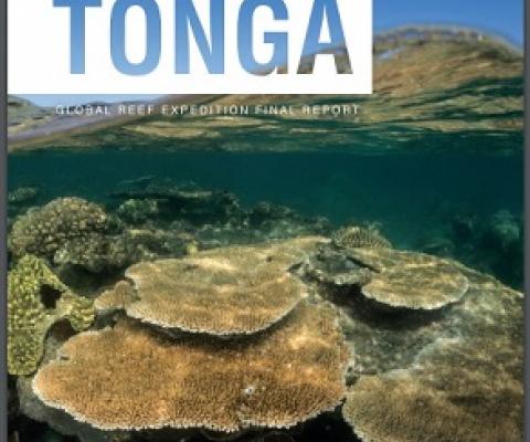 Tonga coral reef survey report