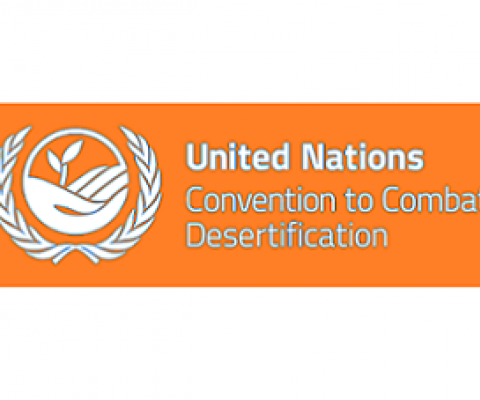 UNCCD logo