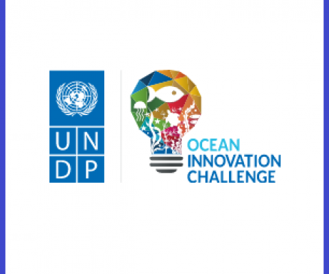 3rd Call: MPAs, Area-Based Management and the Blue Economy. Credit - UNDP