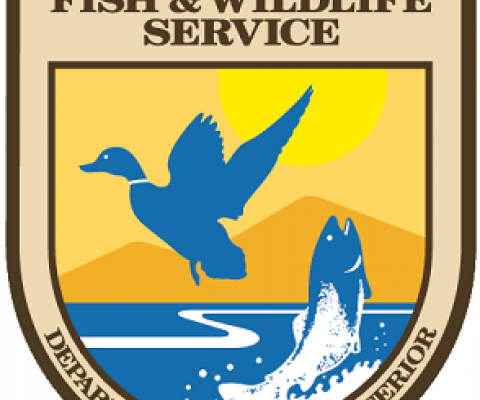 US Fish and Wildlife Service logo. Credit - www.fws.gov