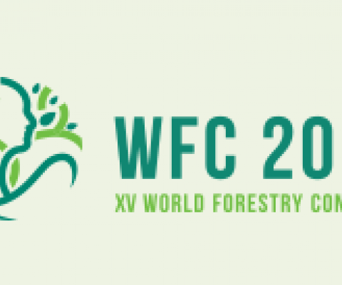 WFC logo. credit - FAO