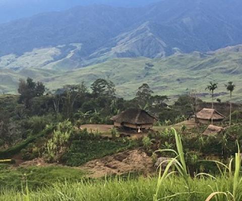 YUS Conservation Area, Papua New Guinea. Credit - Paul van Nimwegen