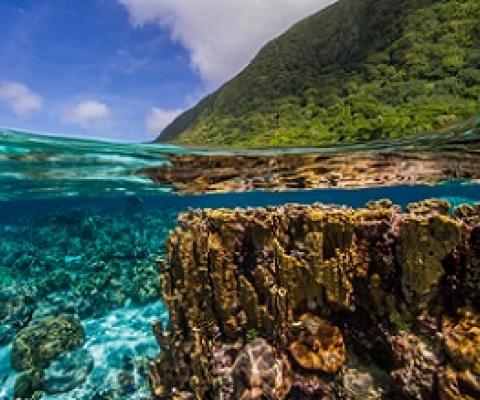 coral reefs, American Samoa. Credit - Shaun Wolfe