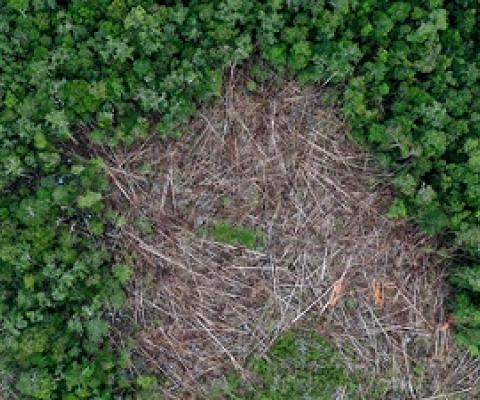 Deforestation in Borneo. Photo: Rhett A. Butler