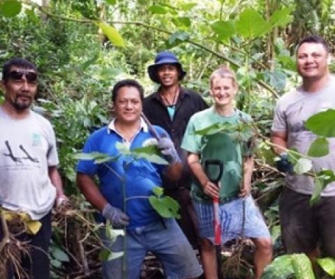 Battling the False Kava Plant in Samoa! credit - SPREP