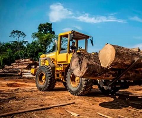 A sawmill in Peru’s Madre de Dios region of the Amazon rainforest. Photograph: Ernesto Benavides/AFP/Getty Images