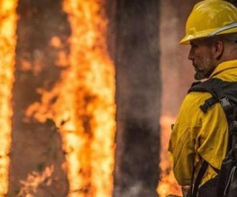 Researchers forecast longer, more extreme wildfire seasons. Credit: CC0 Public Domain