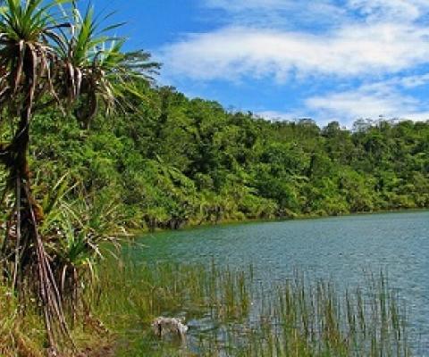 Lake Lanotoo national park Samoa. credit - V. Jungblut