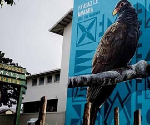 manumea campaign mural, NZ High Commission Building, Apia Samoa. Credit - Samoa Conservation Society