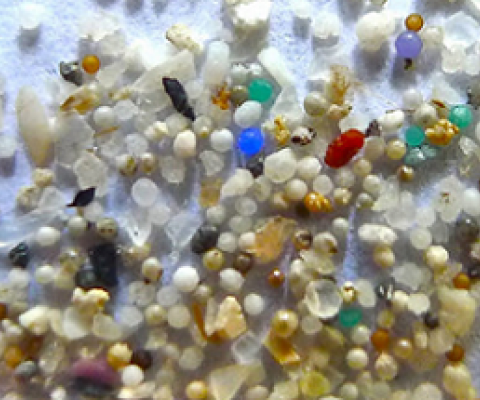 microplastics