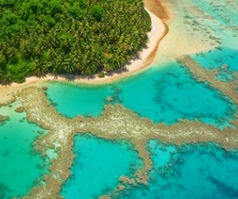 Namdrik Atoll, RMI. Credit - M. Honeth