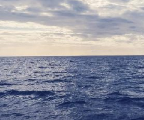 image of the ocean surface
