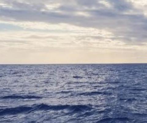 oceans