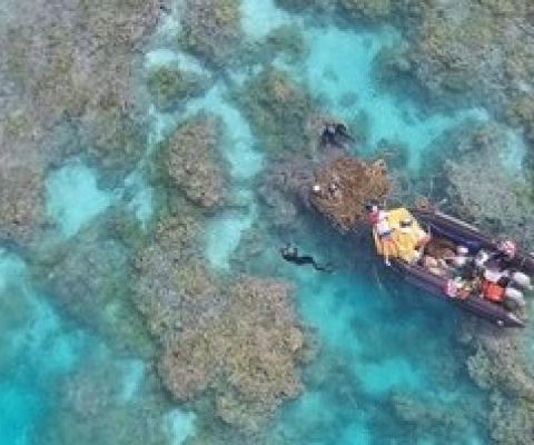 Papahanaumokuakea and Pacific Remote Islands Marine National Monuments. credit - NFWS