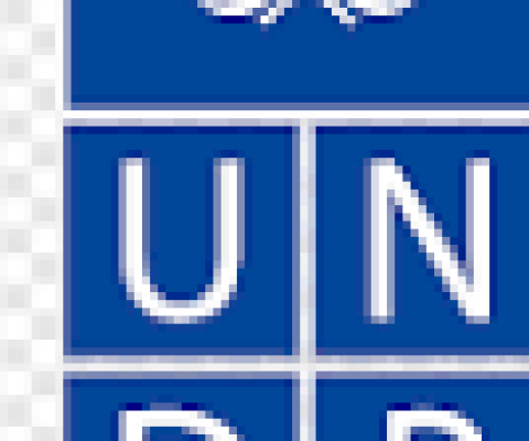 UNDP