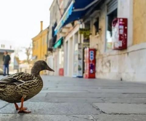 The Venice lagoon is a fragile ecosystem. Photograph: Errebi - Mirco Toniolo/REX/Shutterstock