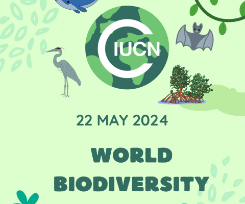 World Biodiversity Day