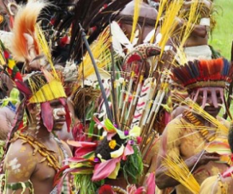 The plumage of birds-of-paradise and parrots adorn traditional costumes and ornaments. Image by Valerie Hukalo via Flickr (CC BY-NC-SA 2.0).