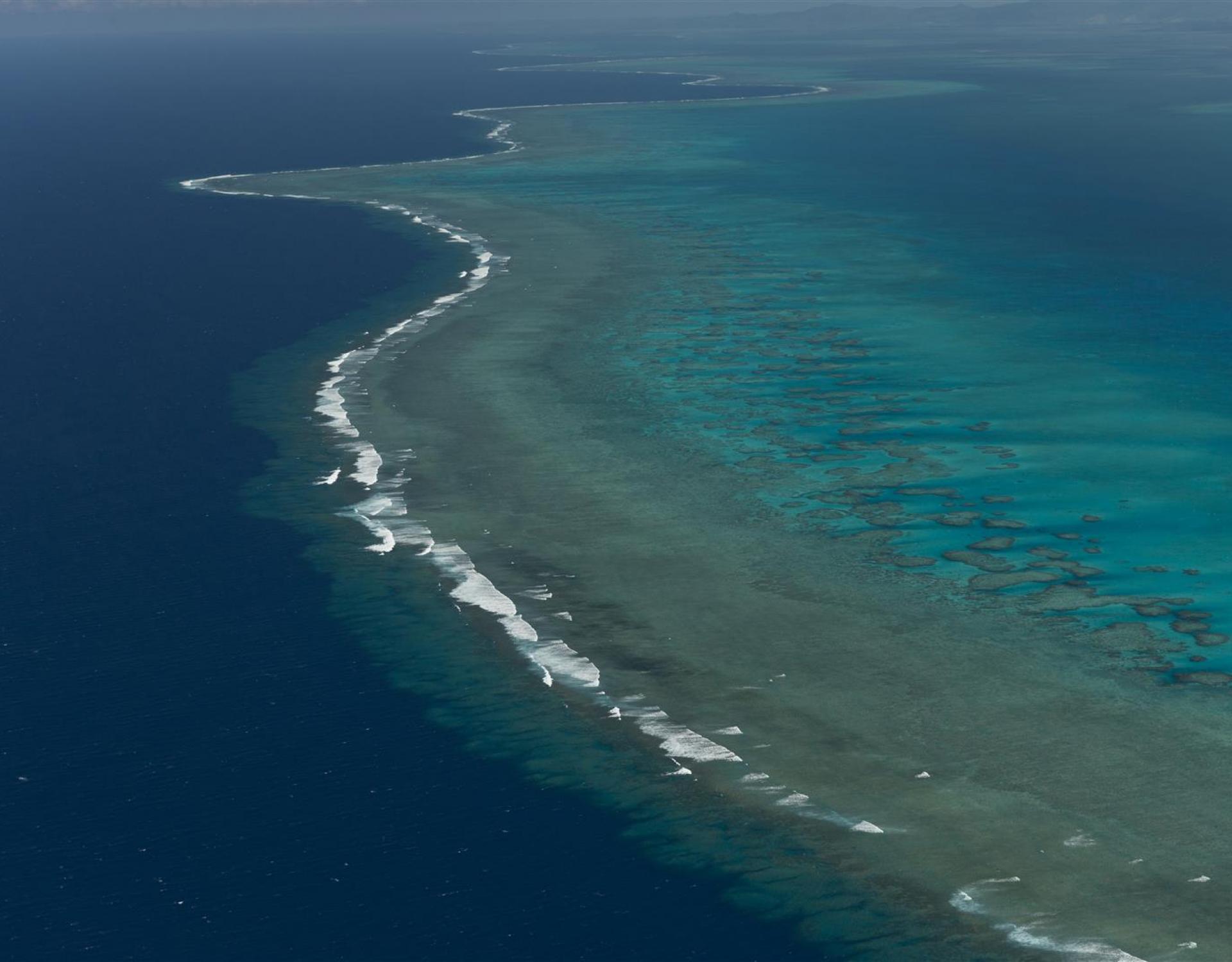 qoliqoli cokovata, Fiji. credit - Jurgen Freund