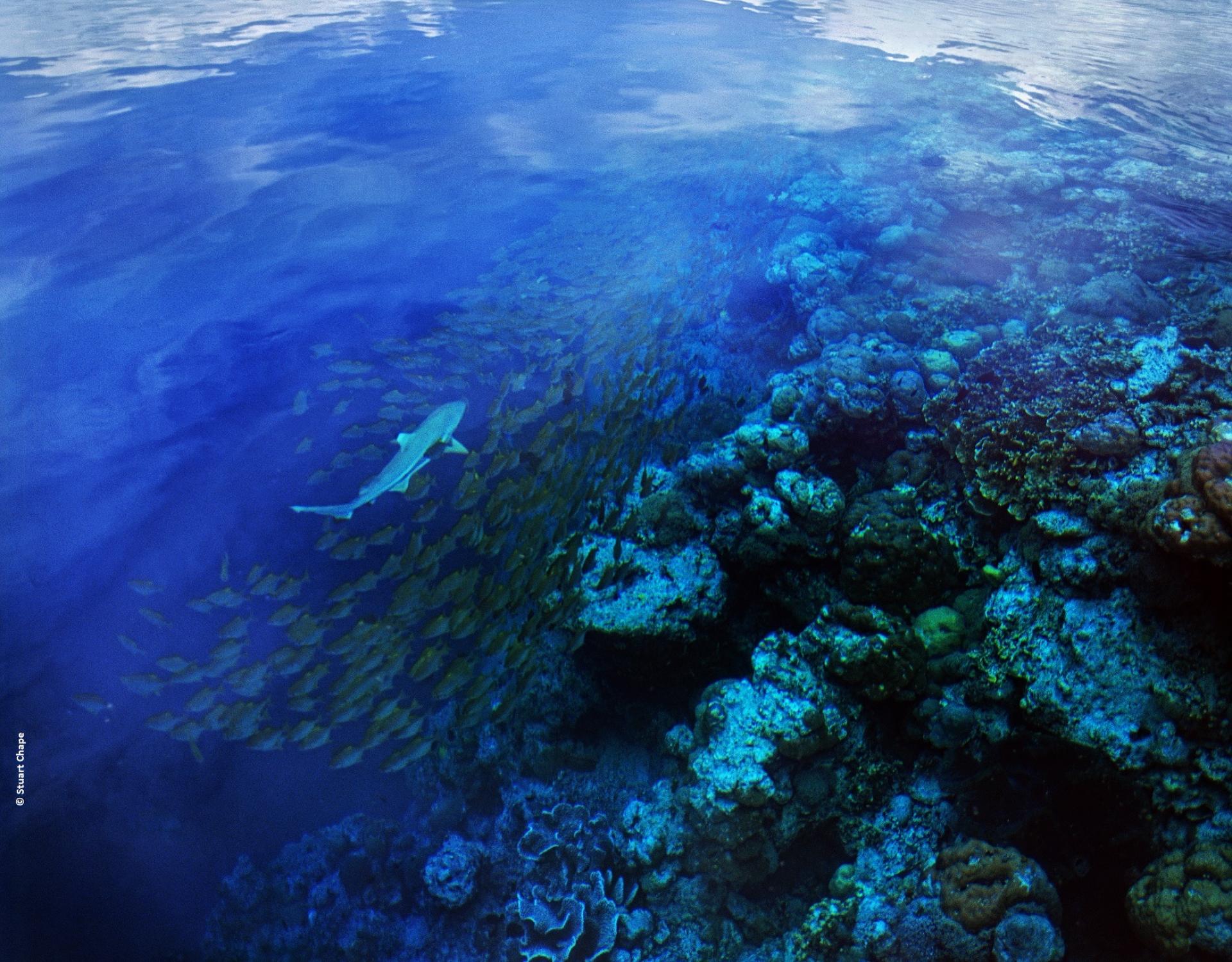 Marovo lagoon_Solomon Islands_S. Chape