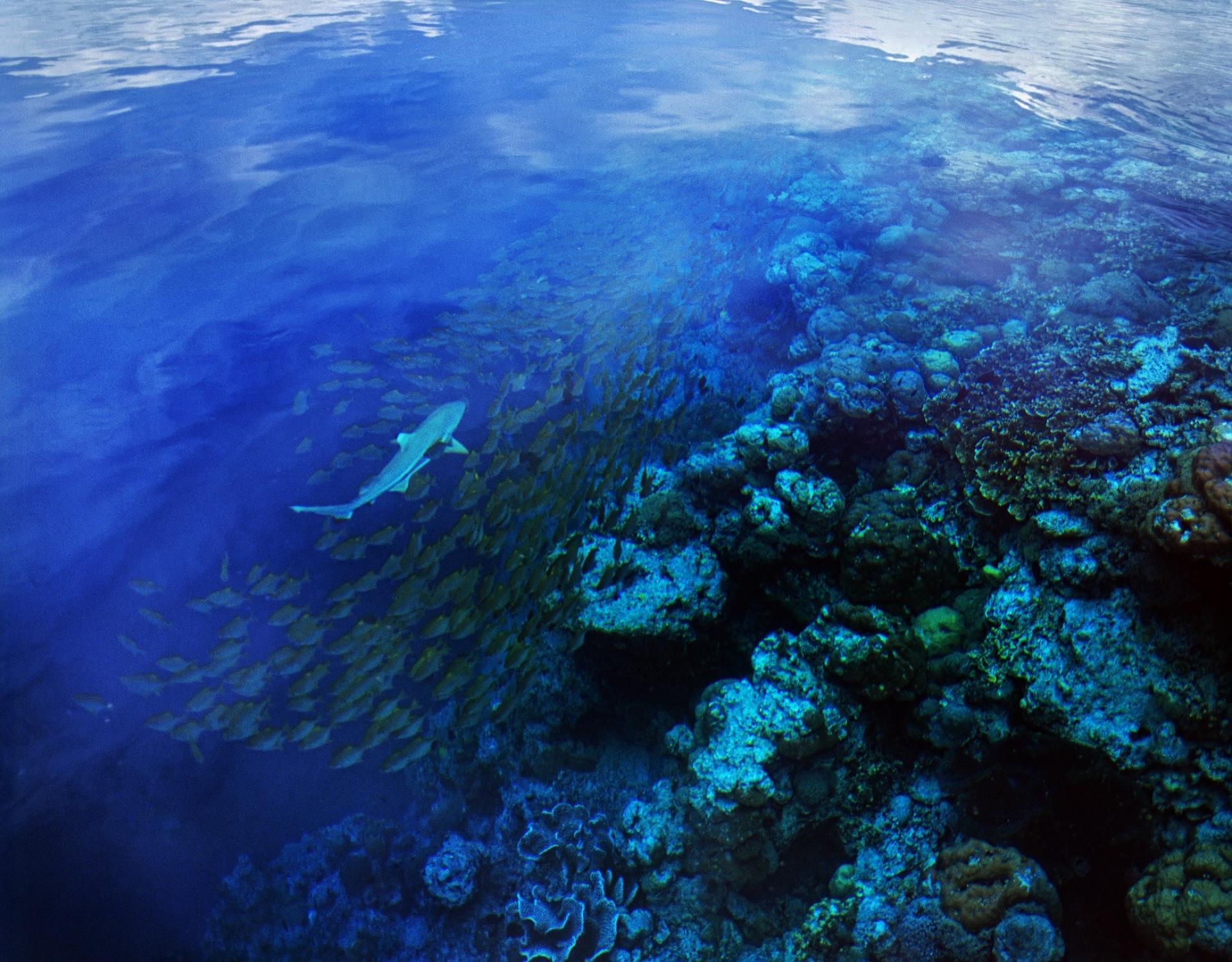 Marovo lagoon_SI_SChape