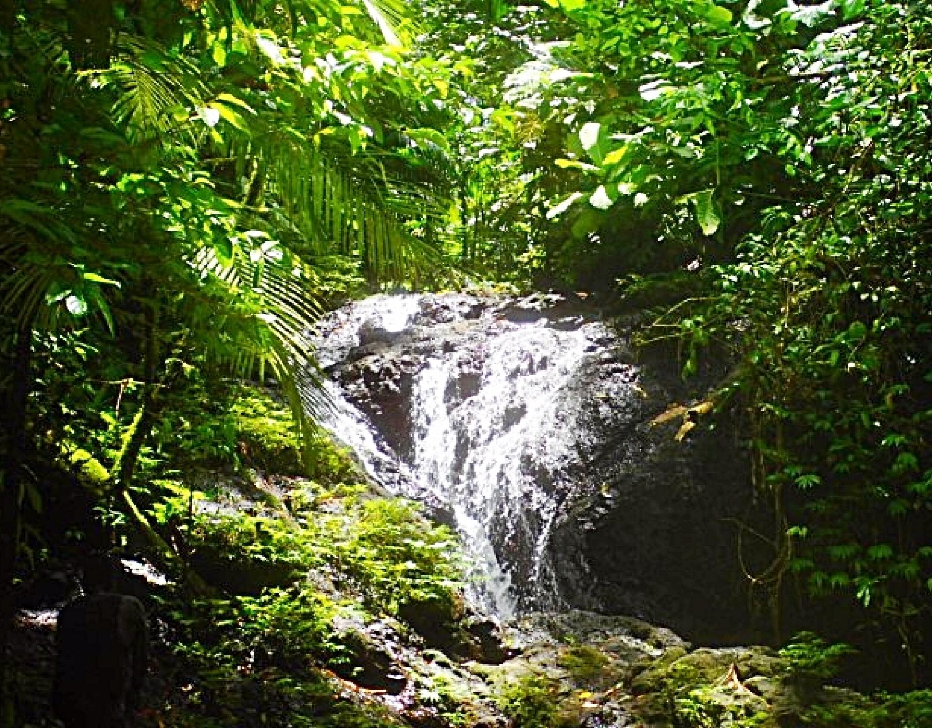 Sirebe Rainforest Conservation Area