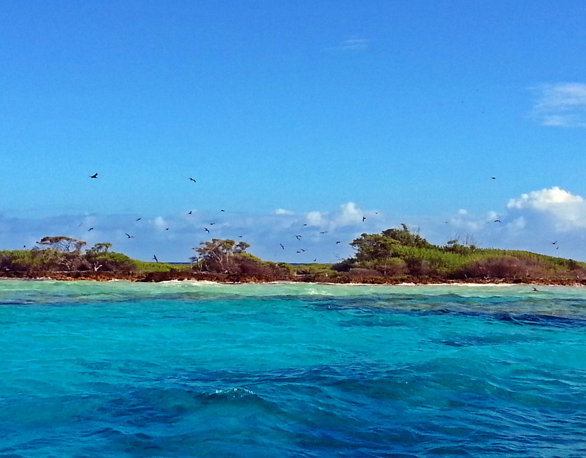 Credit - Cook Islands National Environment Service Suwarrow National Park, Cook Islands. Credit - Cook Islands National Environment Service