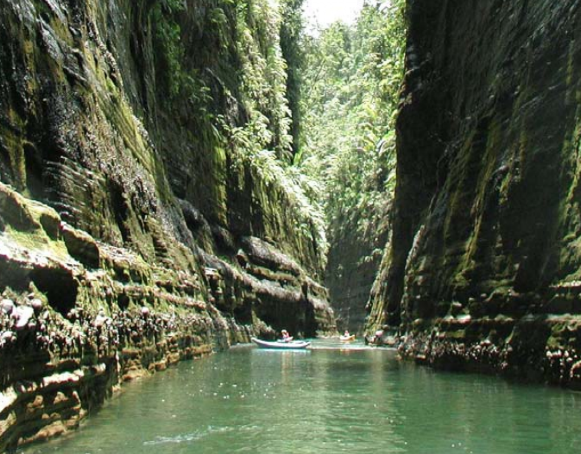Upper Navua CA©Aaron Jenkins