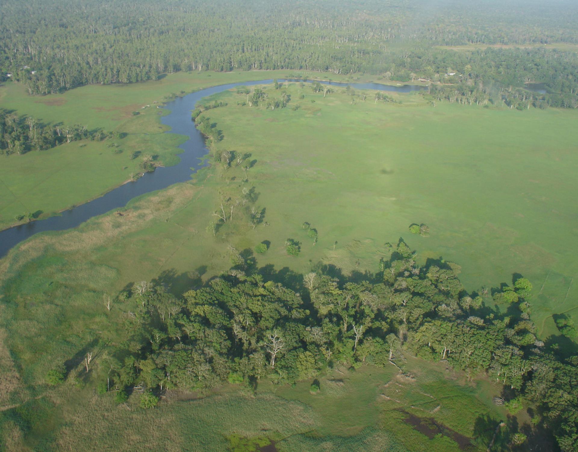 Tonda Wildlife Management Area (Papua New Guinea)