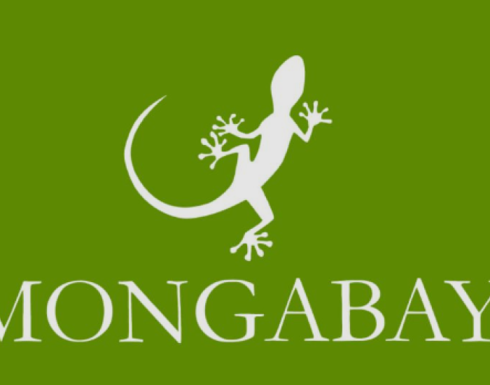 Mongabay