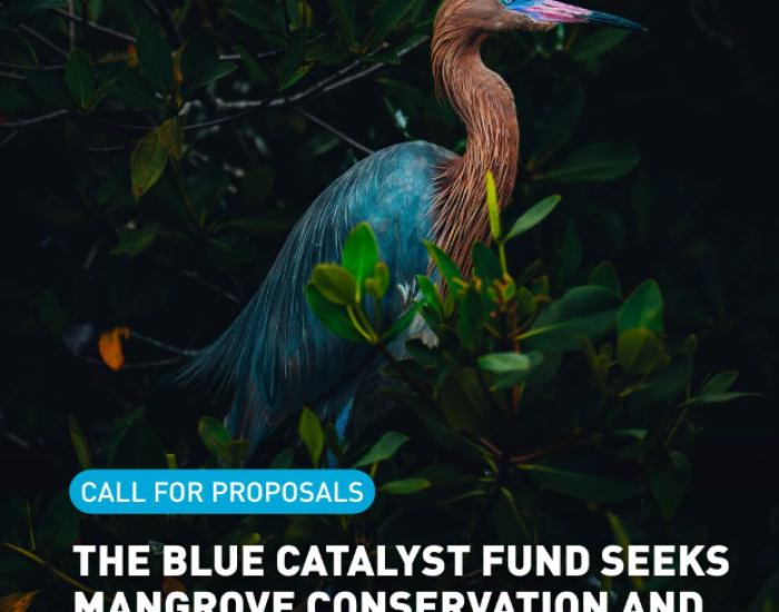 Blue Carbon