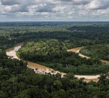 The Amazon rainforest is often called "the lungs of the world." It produces oxygen and stores billions of tons of carbon every year. The Amazon rainforest covers more than 60% of the landmass of Peru. Credit: USDA Forest Service photo by Diego Perez
