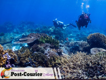 PNG Coral Reefs