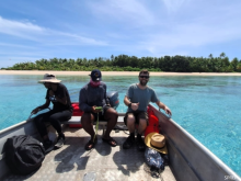 Tuvalu, invasive species