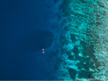 Solomon Islands, coral