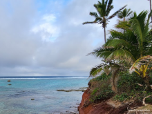 Ha'apai Group, Invasive species control