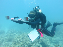 Palau, reef fish stock surveys